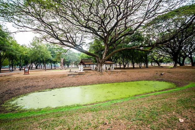 Eine schöne Aussicht auf den Sukhothai Historical Park in Thailand