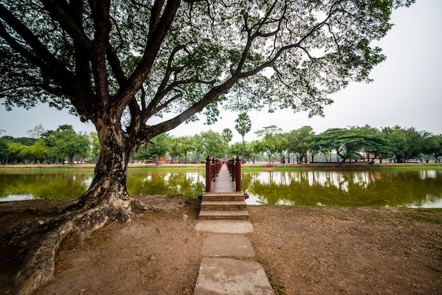 Eine schöne Aussicht auf den Sukhothai Historical Park in Thailand