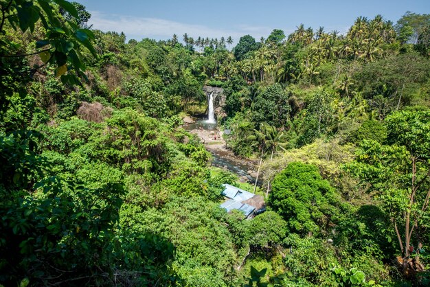 Eine schöne Aussicht auf den Tegenungan-Wasserfall in Bali Indonesien