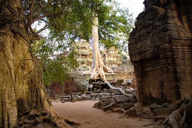 Eine schöne Aussicht auf den Tempel Angkor Wat in Siem Reap, Kambodscha