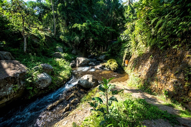 Eine schöne Aussicht auf den Tempel Gunung Kawi in Bali Indonesien