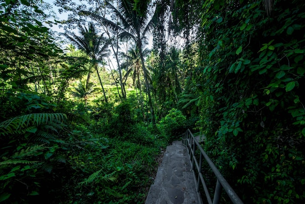 Eine schöne Aussicht auf den Tempel Gunung Kawi in Bali Indonesien