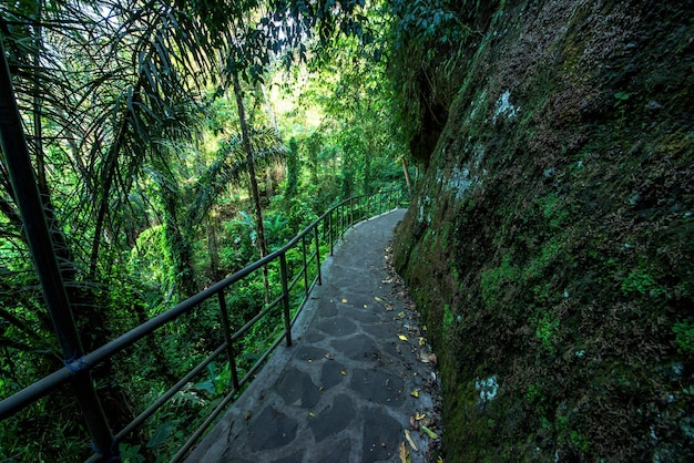 Eine schöne Aussicht auf den Tempel Gunung Kawi in Bali Indonesien