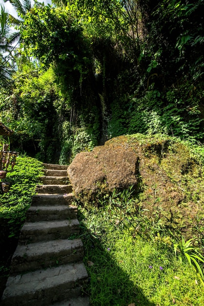 Eine schöne Aussicht auf den Tempel Gunung Kawi in Bali Indonesien