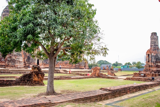 Eine schöne Aussicht auf den Tempel Wat Chaiwatthanaram in Ayutthaya Thailand