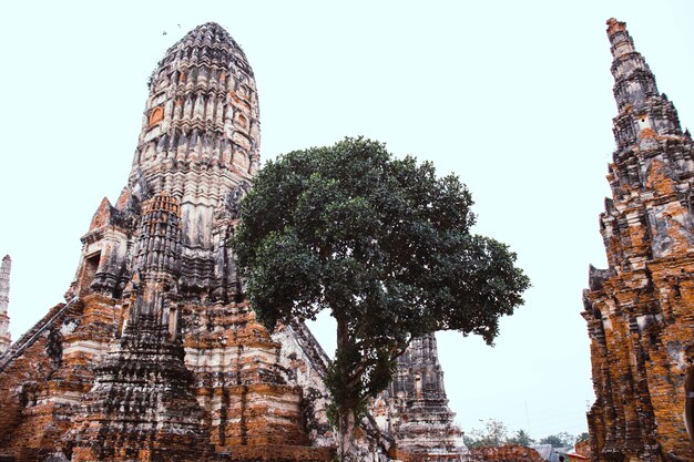 Eine schöne Aussicht auf den Tempel Wat Chaiwatthanaram in Ayutthaya Thailand