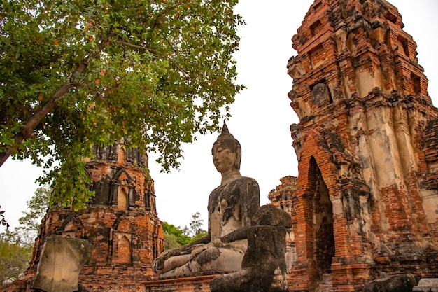 Eine schöne Aussicht auf den Tempel Wat Mahathat in Ayutthaya Thailand