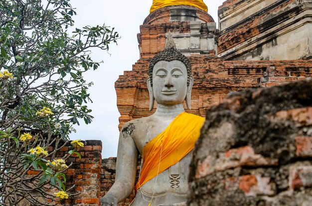 Eine schöne Aussicht auf den Tempel Wat Yai Chai Mongkhon in Ayutthaya Thailand