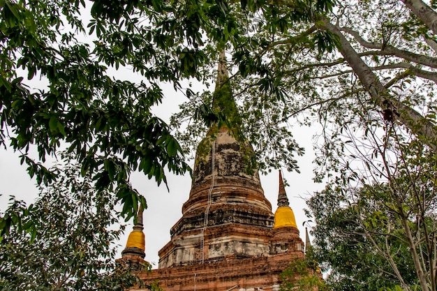 Eine schöne Aussicht auf den Tempel Wat Yai Chai Mongkhon in Ayutthaya Thailand