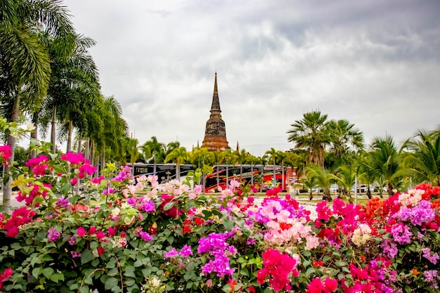 Eine schöne Aussicht auf den Tempel Wat Yai Chai Mongkhon in Ayutthaya Thailand