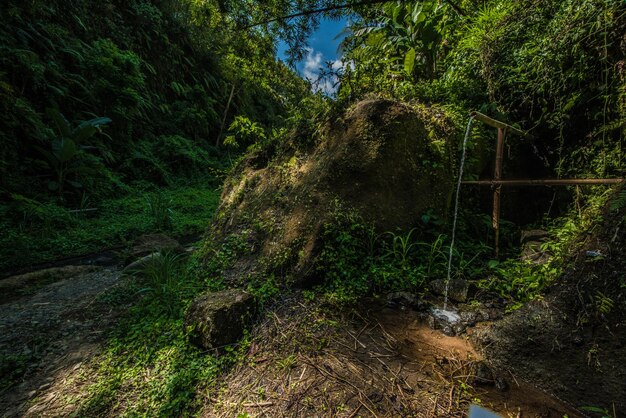 Eine schöne Aussicht auf den Wasserfall in Bali Indonesien