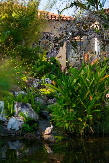 Eine schöne Aussicht auf die Natur in Chapada dos Veadeiros in Alto Paraiso Goias Brasilien