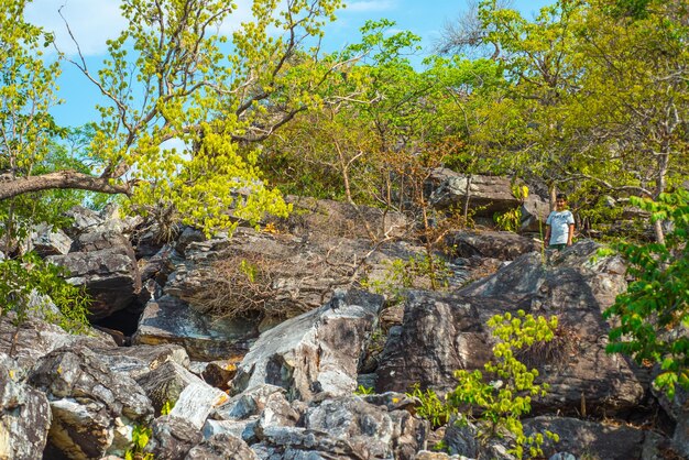 Eine schöne Aussicht auf die Natur in Chapada dos Veadeiros in Alto Paraiso Goias Brasilien