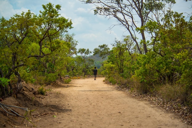 Eine schöne Aussicht auf die Natur in Chapada dos Veadeiros in Alto Paraiso Goias Brasilien