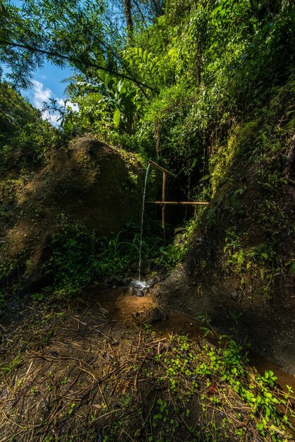 Eine schöne Aussicht auf die Trail-Lage in Bali Indonesien