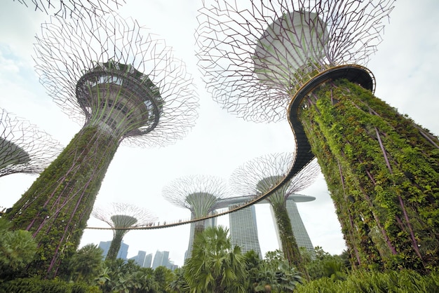 Eine schöne Aussicht auf Gardens By The Bay in Singapur