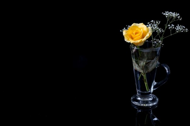 Eine schöne einzelne gelbe Rose in einem hohen Glas Wasser auf einem Tisch. Dunkler Hintergrund mit Kopienraum.