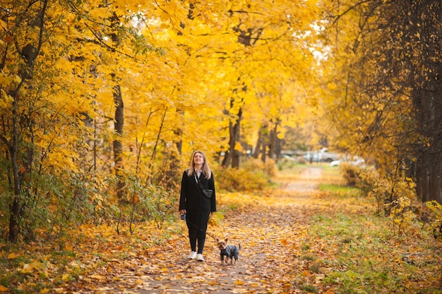 Eine schöne Frau in einem schwarzen Mantel und weißen Turnschuhen geht mit einem kleinen York durch den Herbstpark