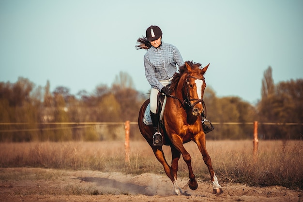 Eine schöne junge Frau, die ein Pferd in einem schwarzen Helm und in Stiefeln reitet