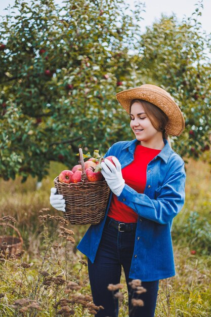 Eine schöne junge Frau in einem Hut ist rote Äpfel in einem Korb in einem Obstgarten pflücken Ernten von Äpfeln in einem Bio-Garten Apfelernte im Herbst