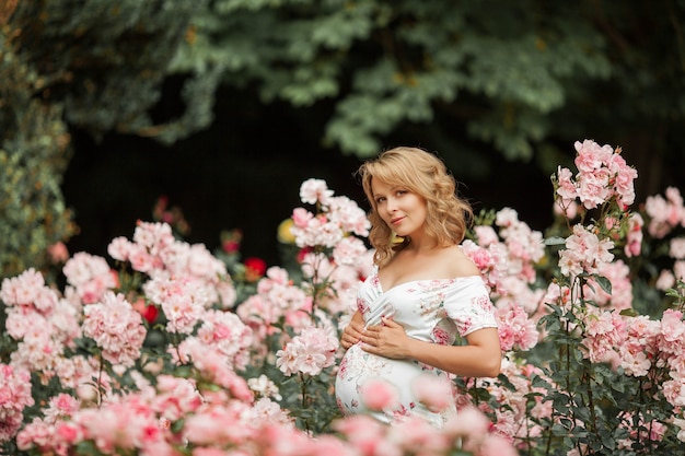 Eine schöne junge schwangere Frau geht in einem Rosengarten. Porträt einer schwangeren Frau in einem Kleid. Sommer.