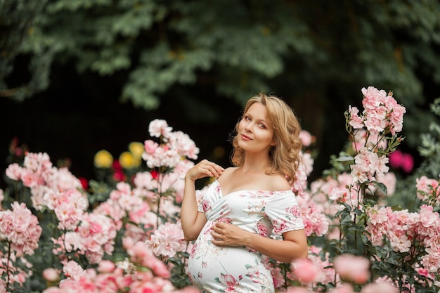 Eine schöne junge schwangere Frau geht in einem Rosengarten. Porträt einer schwangeren Frau in einem Kleid. Sommer.