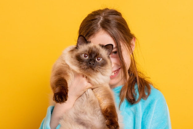 Eine schöne Katze steht vor einem Teenager-Mädchen Mädchen in einem blauen Hoodie auf gelbem Hintergrund