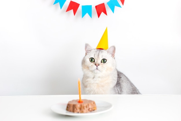 Eine schöne weiße Katze in einer gelben Papierkappe sitzt an einem weißen Tisch mit einem eingemachten Katzenkuchen und leckt h