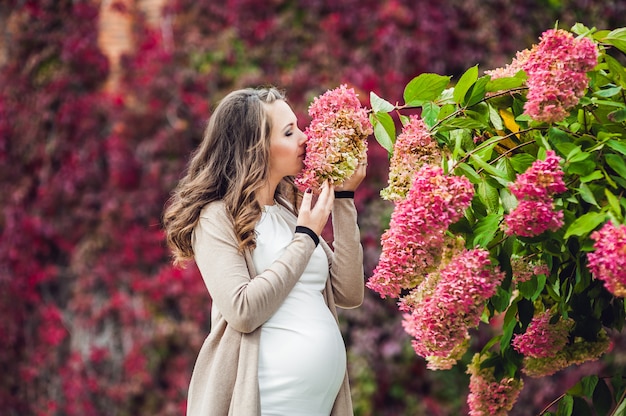 Eine schwangere junge Frau, die an der roten Herbsthecke steht und eine Blume riecht