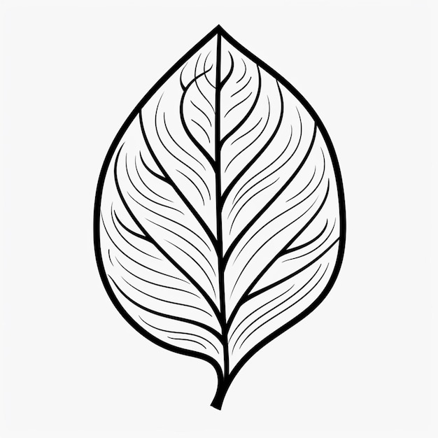 Eine Schwarz-Weiß-Zeichnung eines Blattes mit einer dünnen generativen Linie