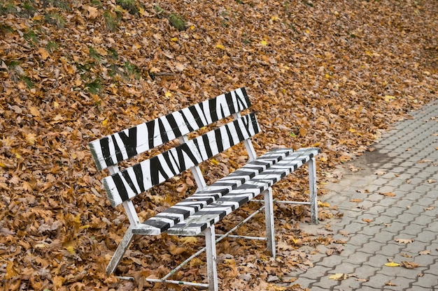 Foto eine schwarz-weiße bank in einem herbstpark