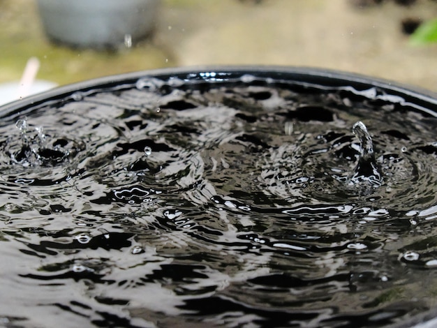 Eine schwarze Wasserschale mit einem Wassertropfen darin.