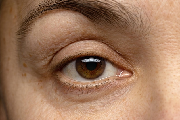 Eine sehr Nahaufnahme der braunen Augen einer Frau mittleren Alters. Klare, dicke, glatte Augenbrauen