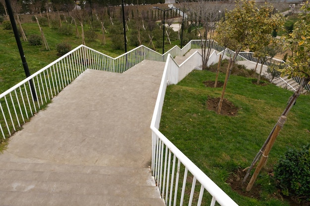 Foto eine serpentin-treppe, die sich durch einen üppigen park schlängelt