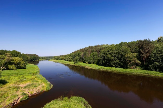 eine Sommerlandschaft mit grünem Gras und Laubbäumen und einem Fluss mit mehreren Nebenflüssen und großen Inseln in der Mitte des Flusses