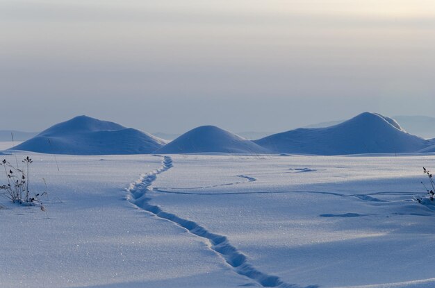 Eine Spur durch ein schneebedecktes Feld und Schneeverwehungen Winterlandschaft