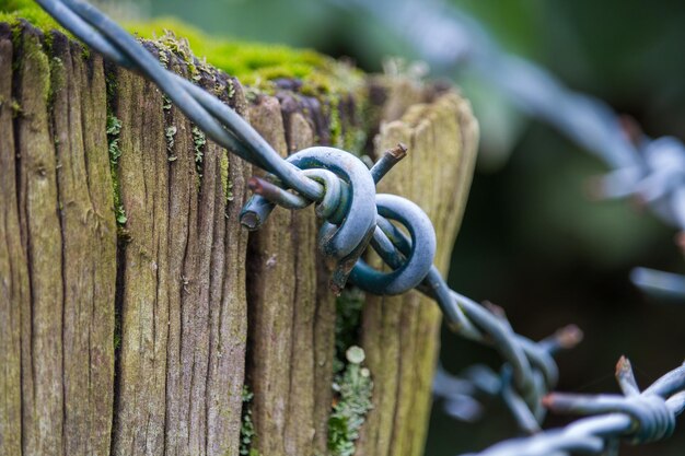 Eine Stacheldrahtschleife umschließt einen hölzernen Zaunpfosten