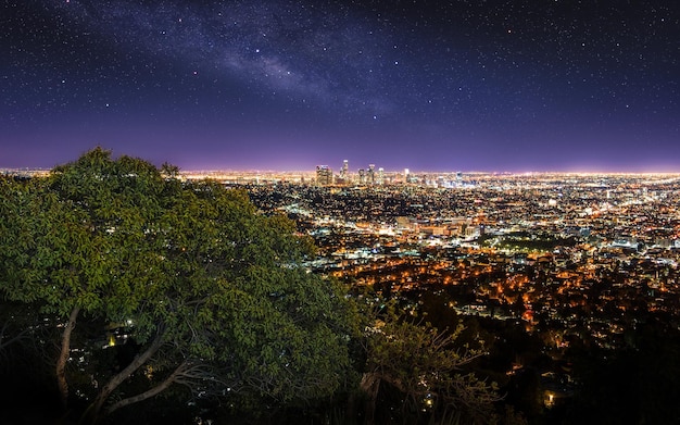 eine Stadt in der Nacht mit einem sternenfrohen Himmel und einem Baum