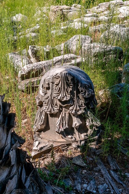 eine Statue mit einem Baum darauf und einem Zaun im Hintergrund