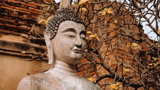 Eine Statue von Buddha mit gelben Blumen im Hintergrund