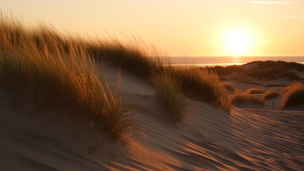 Eine Strandszene mit der untergehenden Sonne hinter den Sanddünen