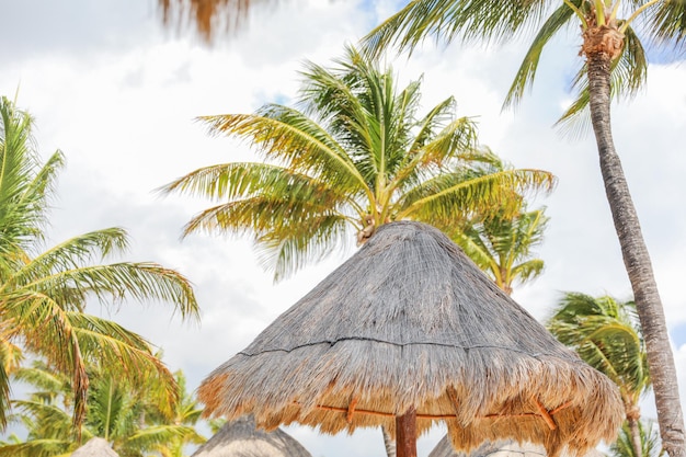 Eine Strandszene mit Palmen und einer Strandhütte