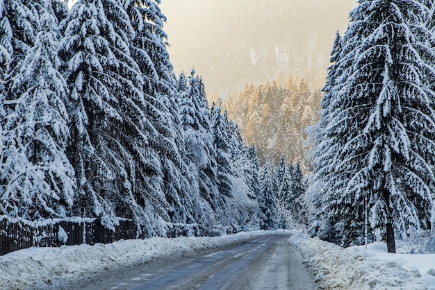 Eine Straße, die durch einen verschneiten Wald und Berge führt Wintersaison Reisen