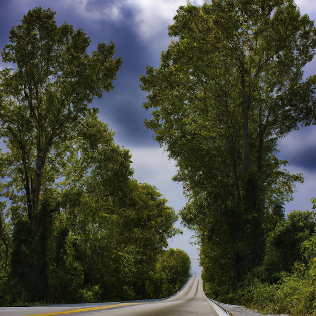 Eine Straße, die eine lange Straße hat, die eine lange Straße hat, die eine gelbe Linie hat, die besagt, dass die Straße nach rechts führt.