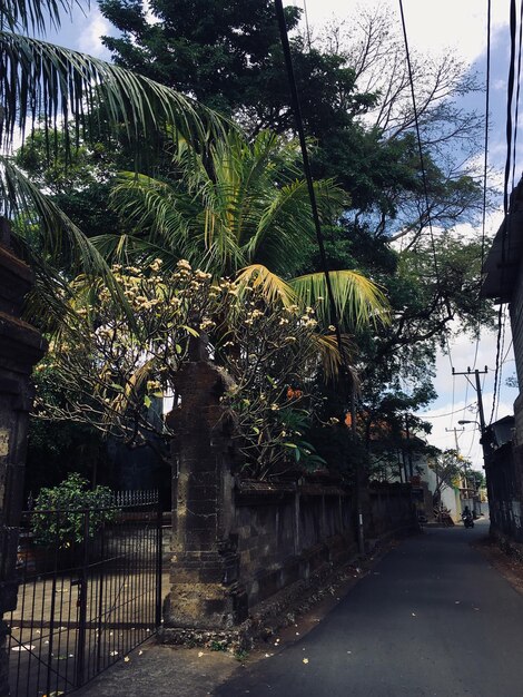 Eine Straße im Dorf Kandy