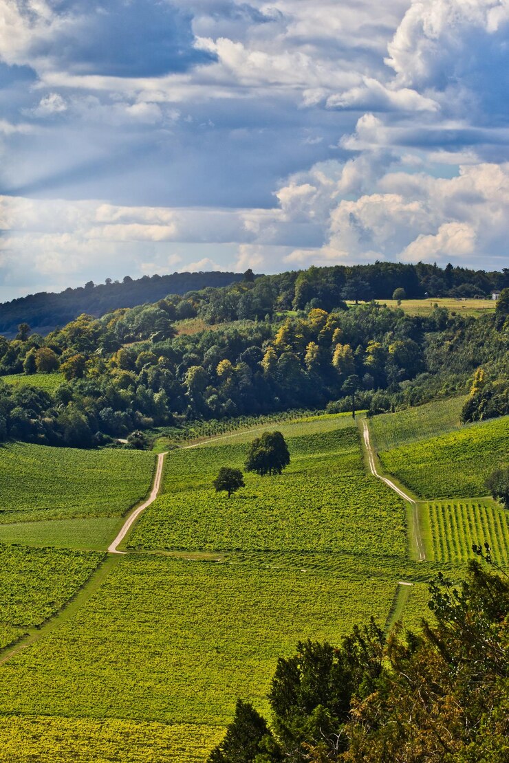 Foto eine straße in den hügeln