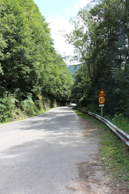 Eine Straße mit Bäumen und einem Schild an der Seite