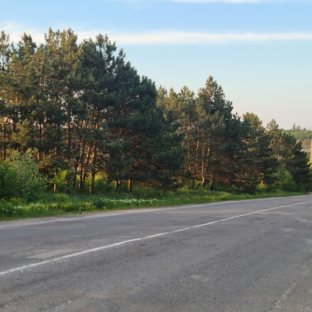 Eine Straße mit einem Schild, auf dem steht: "Ich bin kein Fahrer"