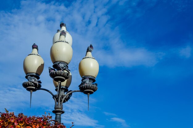 Foto eine straßenlaterne mit dem wort „on it“ darauf