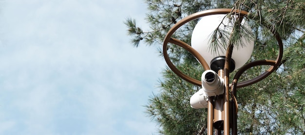 Eine Straßenlaterne mit zwei darauf installierten Videoüberwachungskameras vor dem Hintergrund eines Baumes